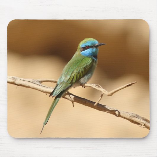 Kleiner grüner Biene-Esser Mousepad (Vorne)