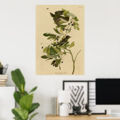 Kleiner grüner Flycatcher Poster (Heimbüro)