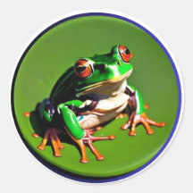 Kleiner grüner Frosch auf einem Seerosenblatt #3