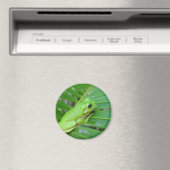 Kleiner Grüner Frosch Magnet (In Situ (Geschirrspüler))