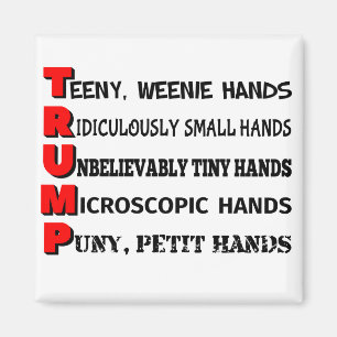 Kleiner Handtrumpf-Kühlschrank-Magnet Magnet