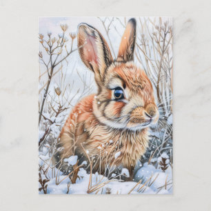 Kleiner Hase im schneebedeckten Feld. Kaninchen Hä Postkarte