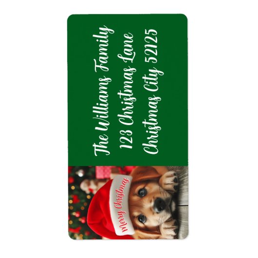 Kleiner Helfer-Welpe des Weihnachtsmanns (Vorne)