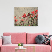 kleiner Hummingvogel Leinwanddruck (Insitu (Wohnzimmer))