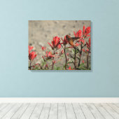 kleiner Hummingvogel Leinwanddruck (Insitu (Holzboden))