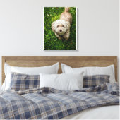 Kleiner Hund, der die Kamera sieht Leinwanddruck (Insitu (Schlafzimmer))