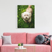 Kleiner Hund, der die Kamera sieht Leinwanddruck (Insitu (Wohnzimmer))