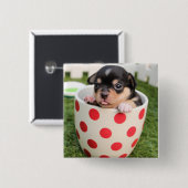 Kleiner Hund in der Tasse Button (Vorne & Hinten)