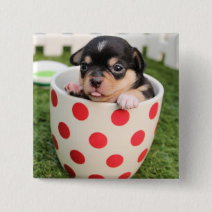 Kleiner Hund in der Tasse Button