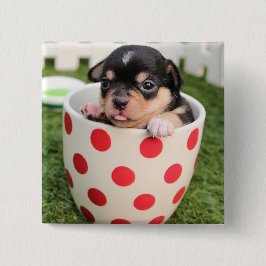 Kleiner Hund in der Tasse Button (Vorderseite)