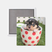 Kleiner Hund in der Tasse Magnet (Vorderseite/Rückseite)