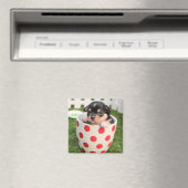 Kleiner Hund in der Tasse Magnet (In Situ (Geschirrspüler))