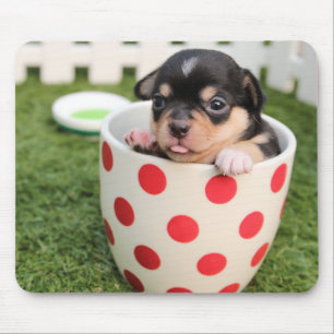 Kleiner Hund in der Tasse Mousepad