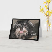 "Kleiner Hund Joey: "Ich will, um Sie ganz über zu Karte (Gelbe Blume)