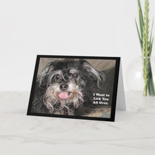 "Kleiner Hund Joey: "Ich will, um Sie ganz über zu Karte (Vorderseite)