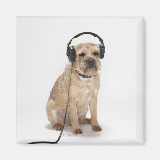 Kleiner Hund mit Kopfhörer Magnet (Vorne)