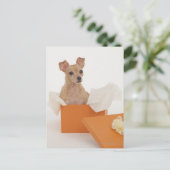 Kleiner Hund sitzend in der Geschenkboxen Postkarte (Stehend Vorderseite)