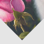 Kleiner Hund und Rose Seidenpapier (Ausschnitt)