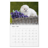 Kleiner Hunde-Liebender Kalender (Mär 2027)