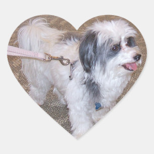 Kleiner Hundekleber Herz-Aufkleber