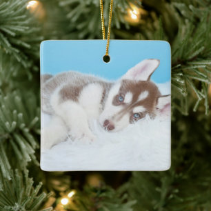 Kleiner Husky-Welpe auf einer Blankette Keramikornament