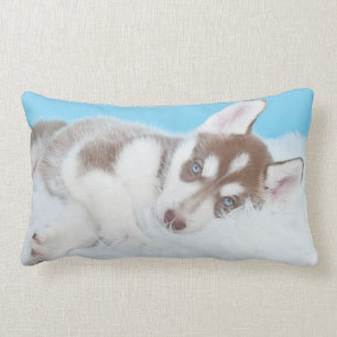 Kleiner Husky-Welpe auf einer Blankette Lendenkissen