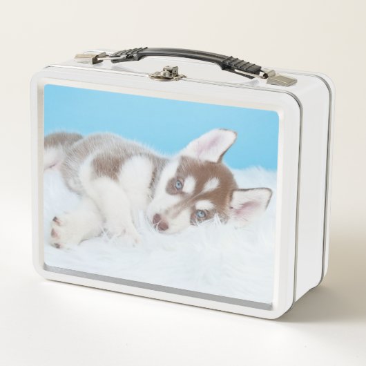 Kleiner Husky-Welpe auf einer Blankette Metall Brotdose (Vorderseite)