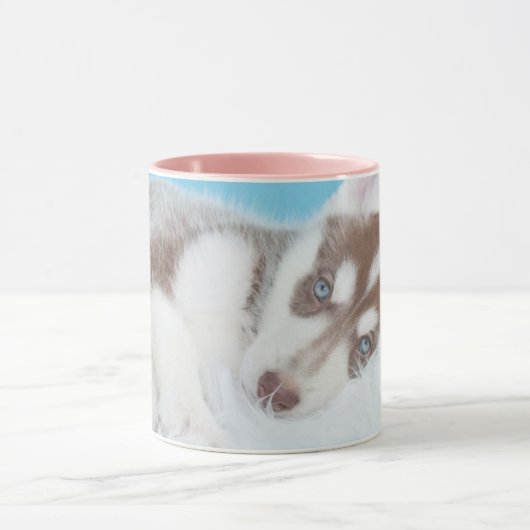 Kleiner Husky-Welpe auf einer Blankette Tasse (Zentrum)