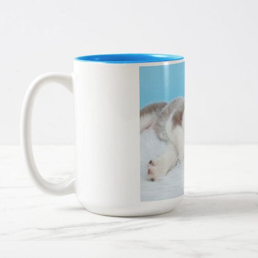 Kleiner Husky-Welpe auf einer Blankette Zweifarbige Tasse (Links)