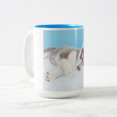 Kleiner Husky-Welpe auf einer Blankette Zweifarbige Tasse (Vorderseite Links)