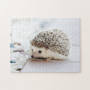 Kleiner Igel Puzzle