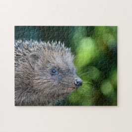 Kleiner Igel Puzzle