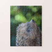 Kleiner Igel Puzzle (Vertikal)