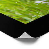 Kleiner Jack Poster (Ecke)