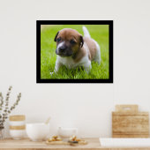 Kleiner Jack Poster (Küche)