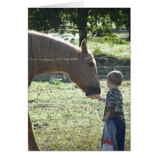 Kleiner Junge Fütternd Pferd