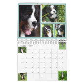 Kleiner Kalender der Berner Nations-Baby-2017 (Mär 2027)