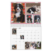 Kleiner Kalender der Berner Nations-Baby-2017 (Feb 2027)