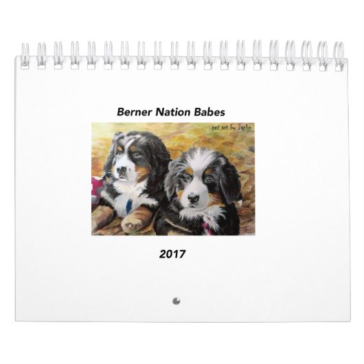 Kleiner Kalender der Berner Nations-Baby-2017 (Titelbild)