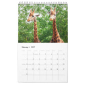 Kleiner Kalender mit wild lebenden Tieren (Feb 2027)