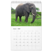 Kleiner Kalender mit wild lebenden Tieren (Mär 2027)