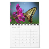 Kleiner Kalender Schöner Schmetterlinge (Jan 2027)