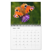 Kleiner Kalender Schöner Schmetterlinge (Mär 2027)
