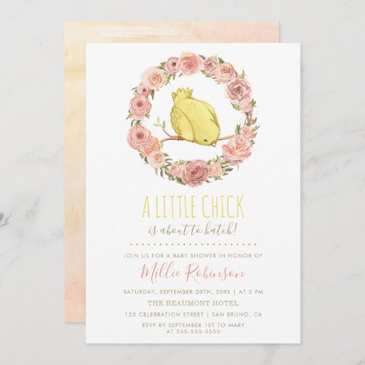 Kleiner Kick ist dabei, eine Blumenspülung zu beko Einladung (Vorne/Hinten)