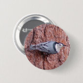 Kleiner Kleiber-Vogel-Knopf Button (Vorne & Hinten)