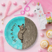 Kleiner Kletterbär Pappteller (Party)