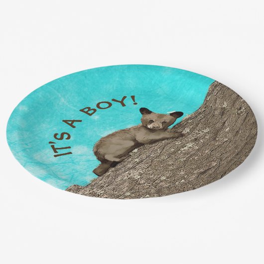 Kleiner Kletterbär Pappteller (Schrägansicht)