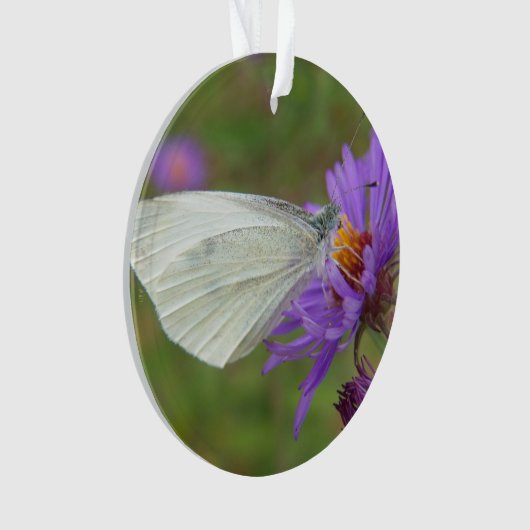 Kleiner Kohl-Weiß-Schmetterling Ornament (Vorderseite)