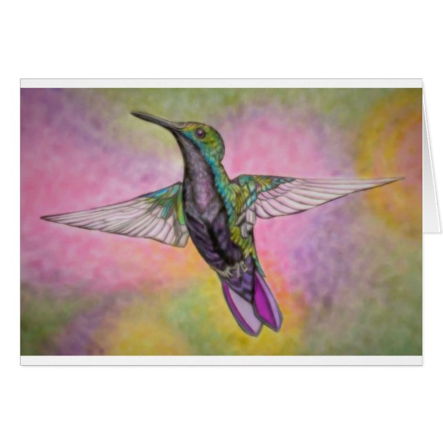 Kleiner Kolibri (Vorderseite (Horizontal))