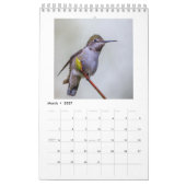 Kleiner Kolibri-Kalender Kalender (Mär 2027)